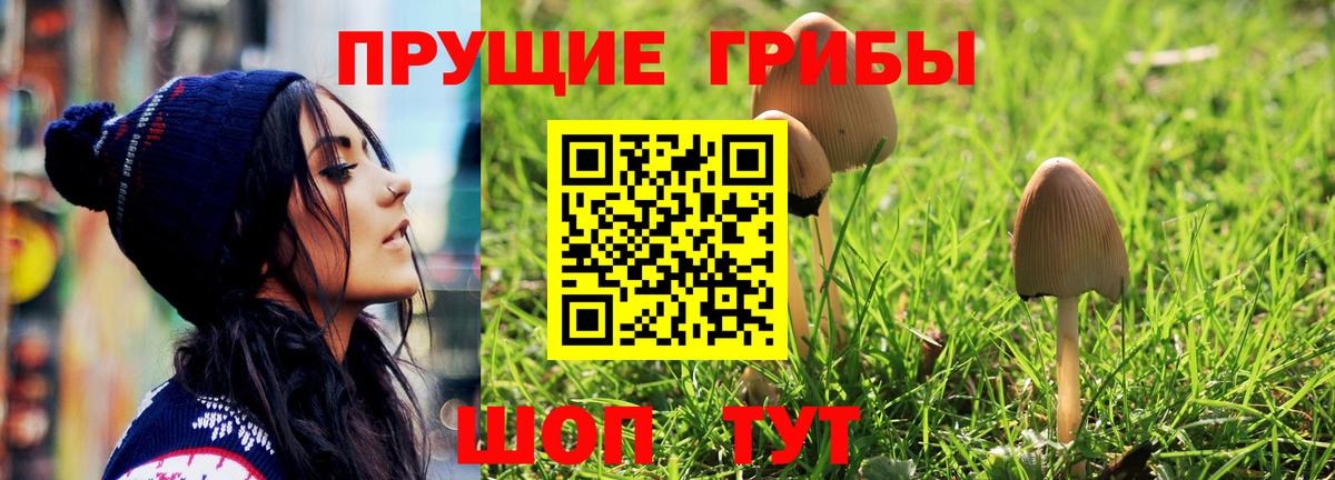 Псилоцибиновые грибы прущие грибы Луховицы